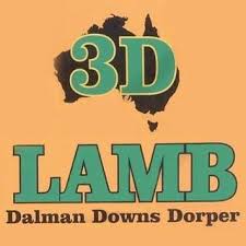Dalman Downs Dorpers