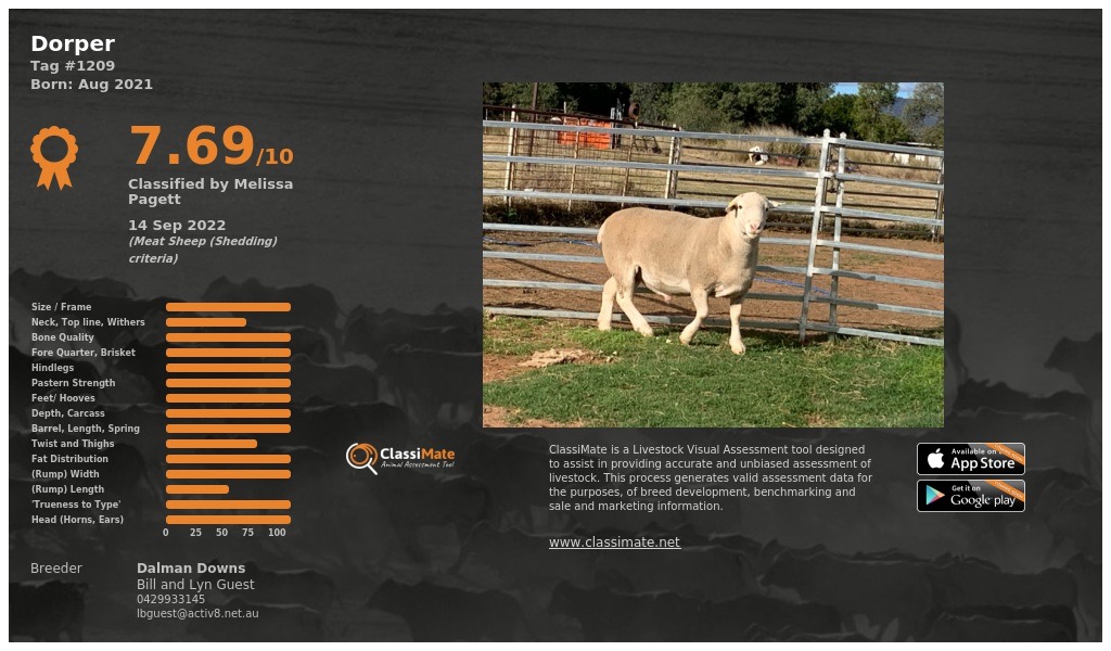 Lot 101