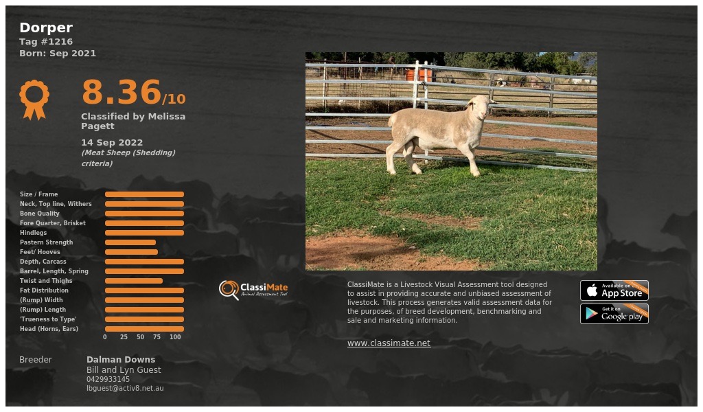 Lot 103-1