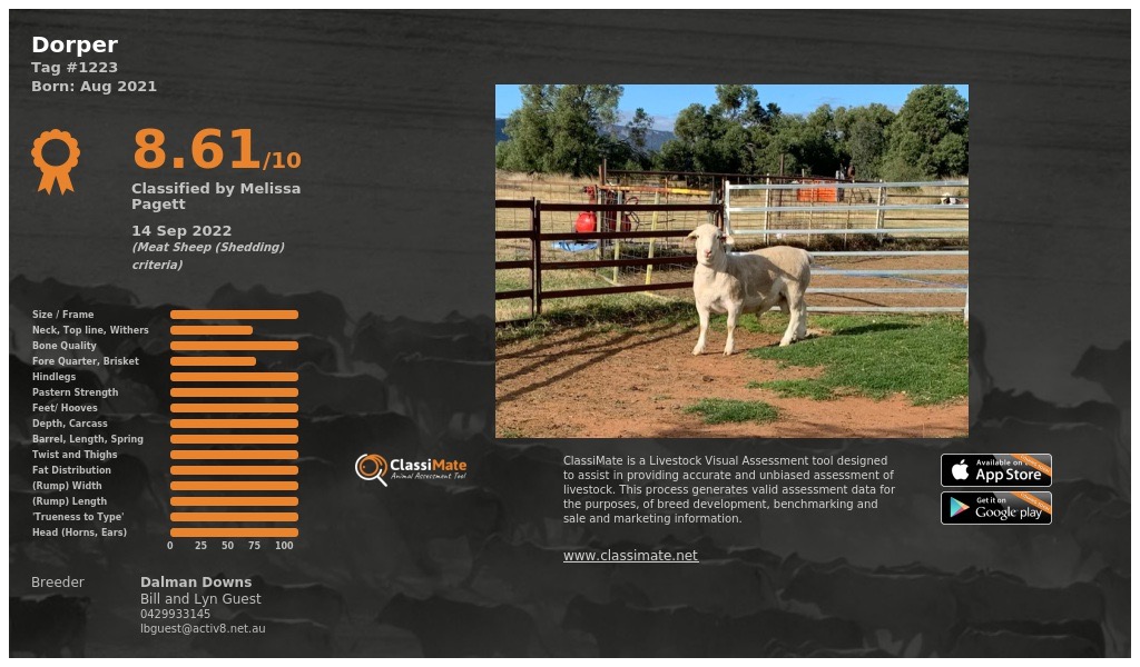 Lot 104