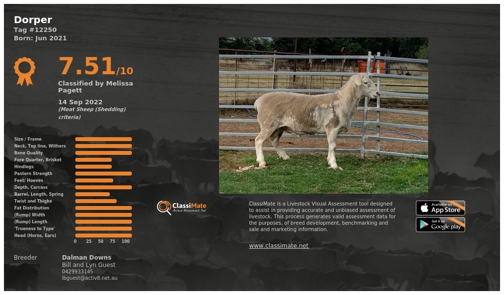 Lot 105