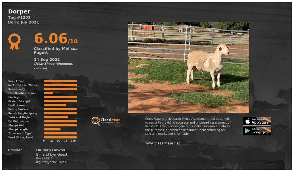 Lot 106