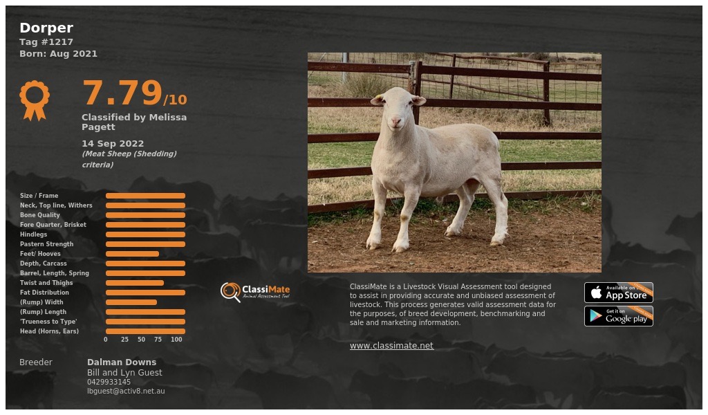 Lot 107