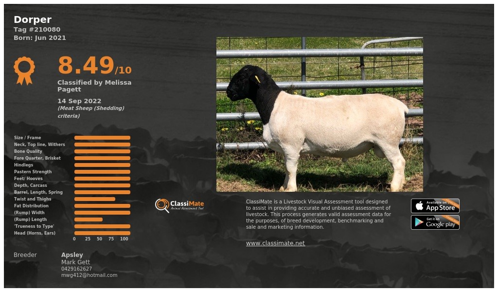 Lot 12