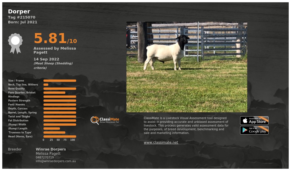 Lot 13-1