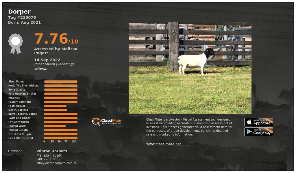 Lot 14-1