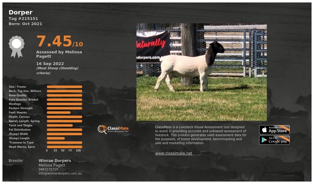 Lot 15-1