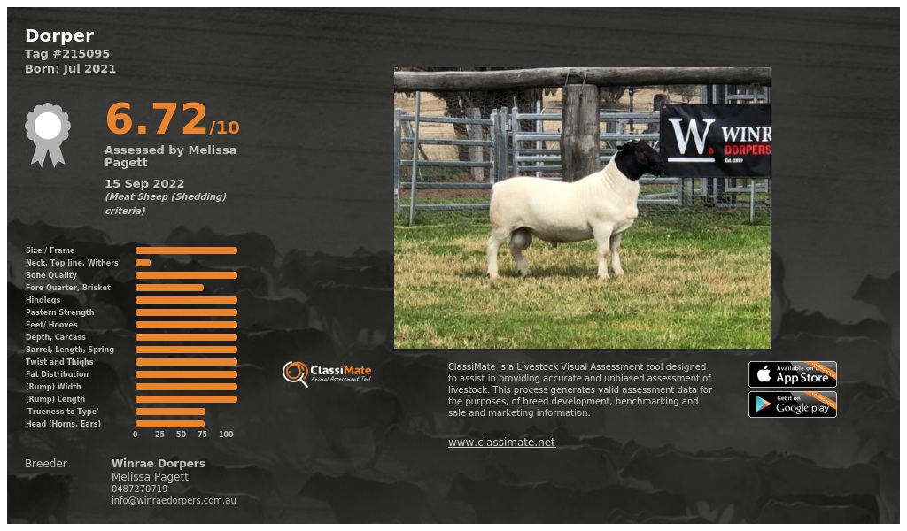 Lot 18-1
