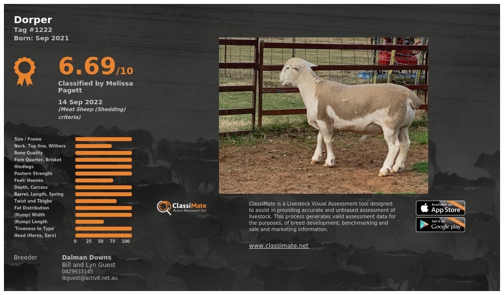 Lot 32