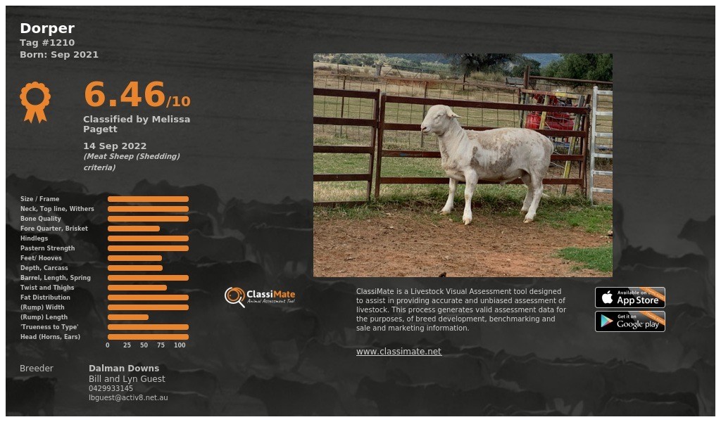 Lot 34