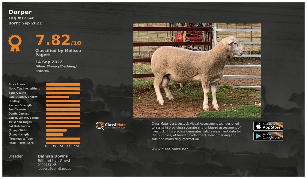 Lot 35