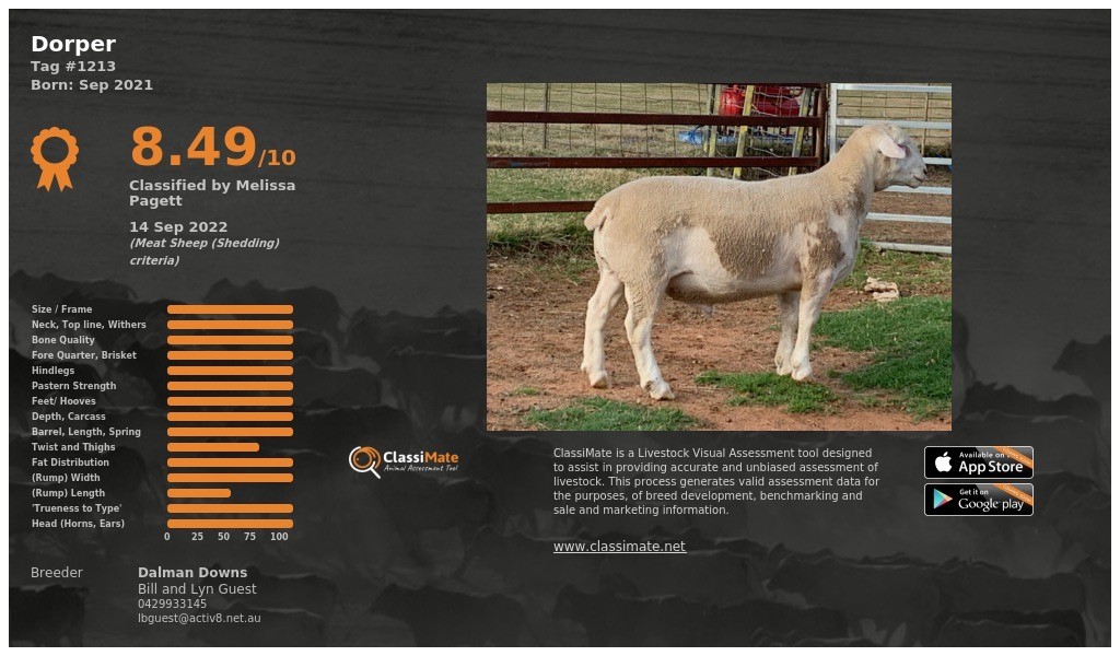 Lot 36