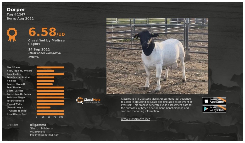 Lot 37