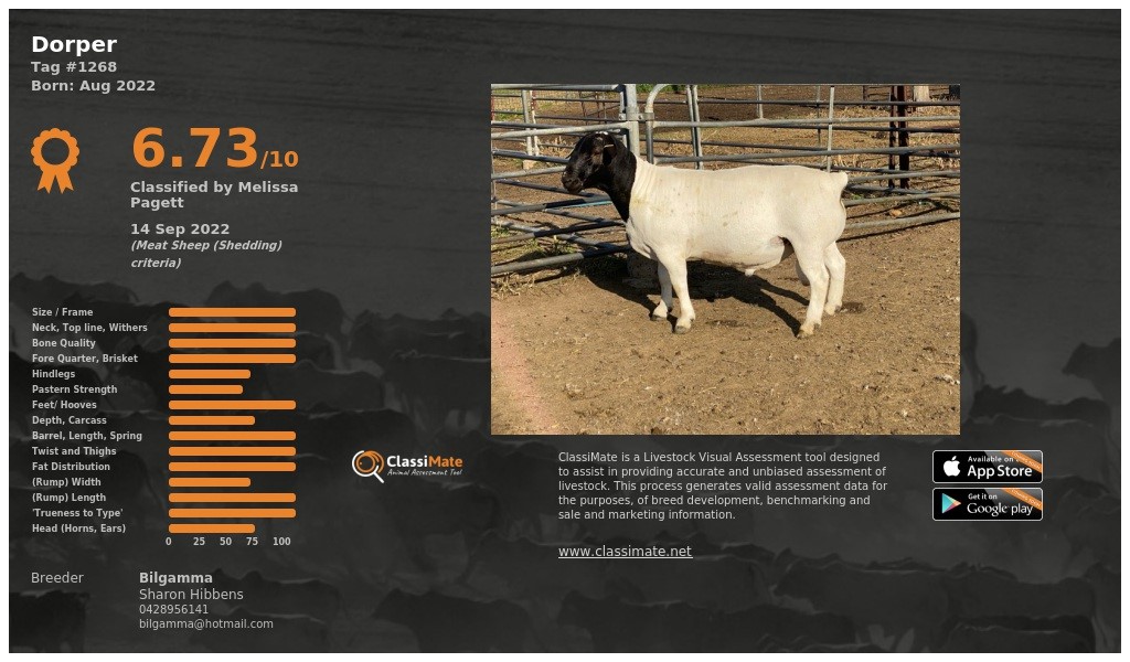 Lot 38
