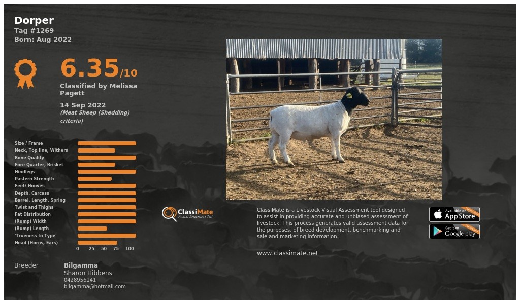 Lot 39