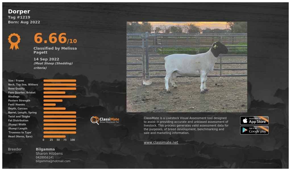 Lot 4