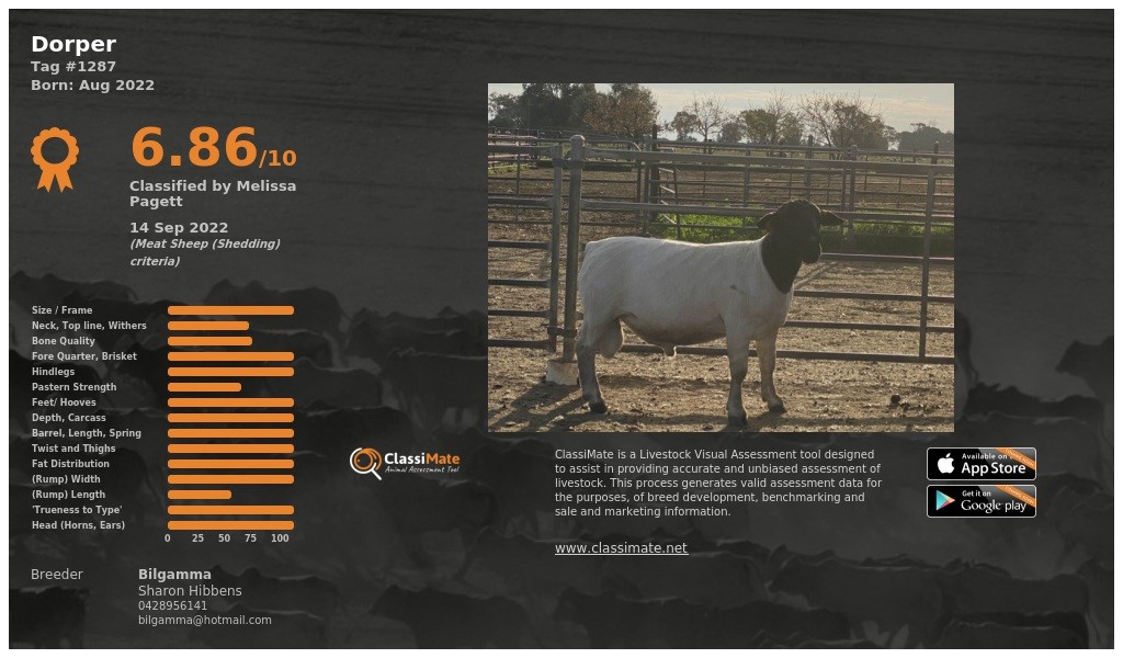 Lot 42