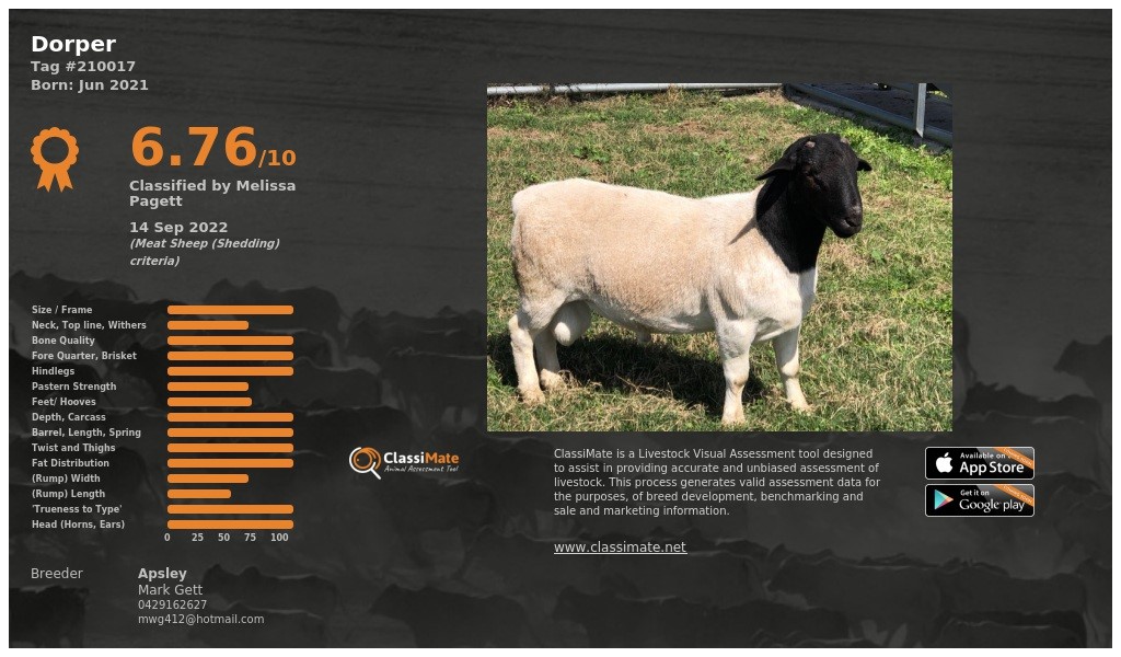 Lot 43
