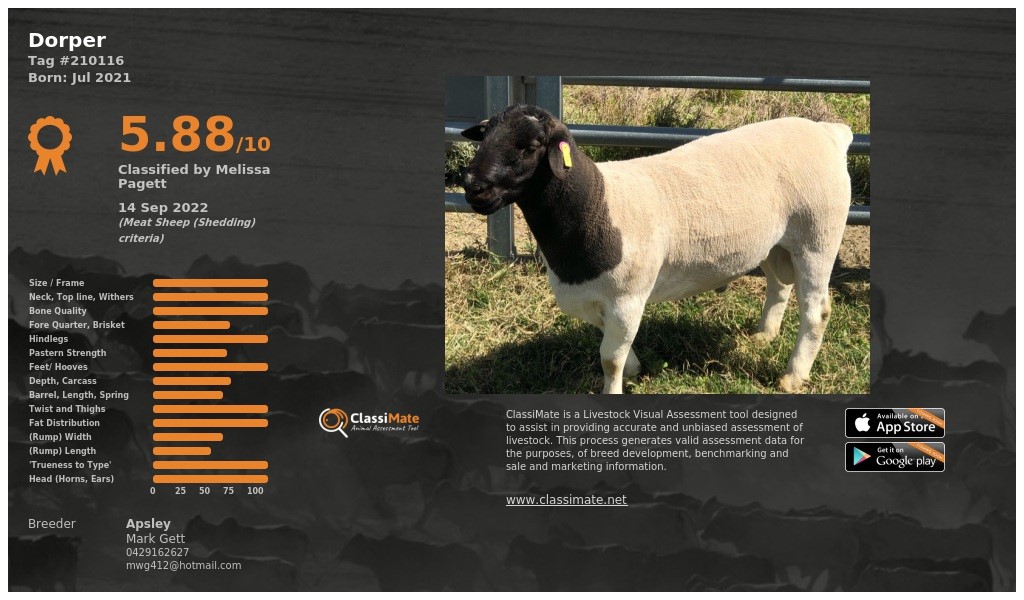 Lot 45