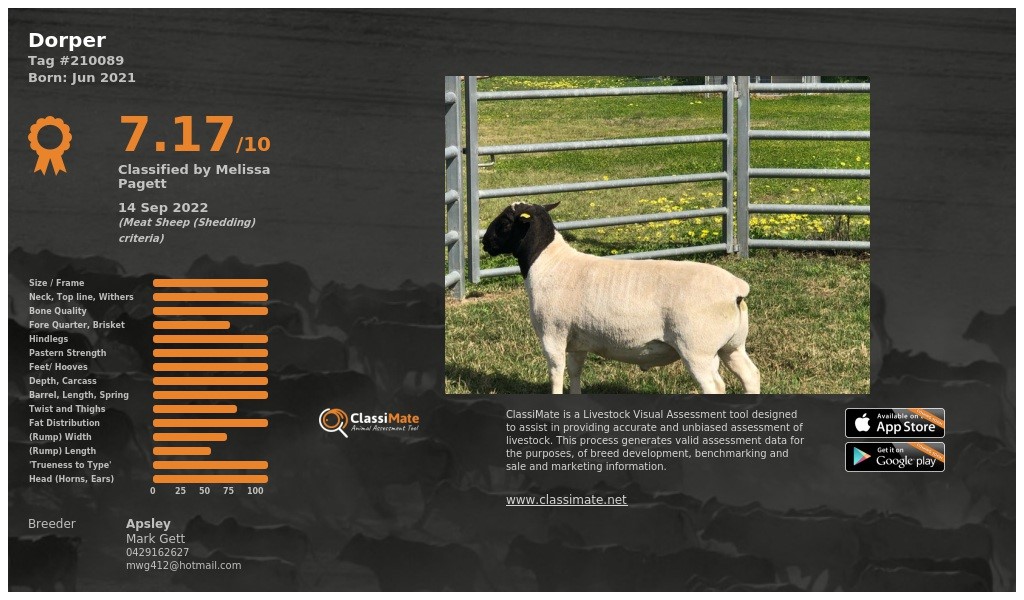 Lot 46