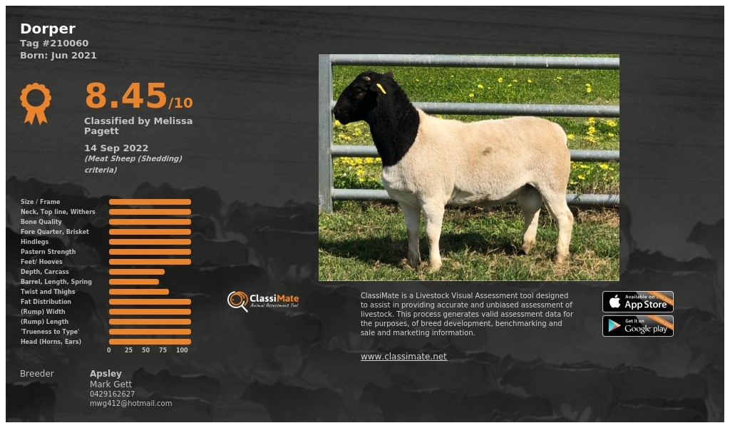 Lot 47