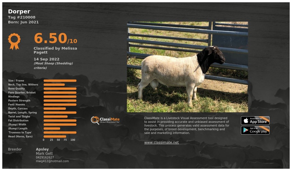 Lot 48