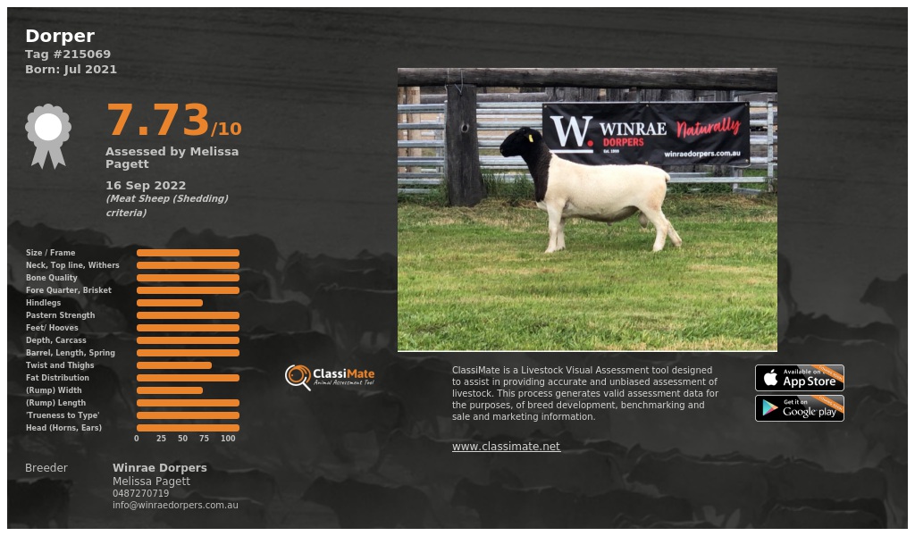 Lot 50-1
