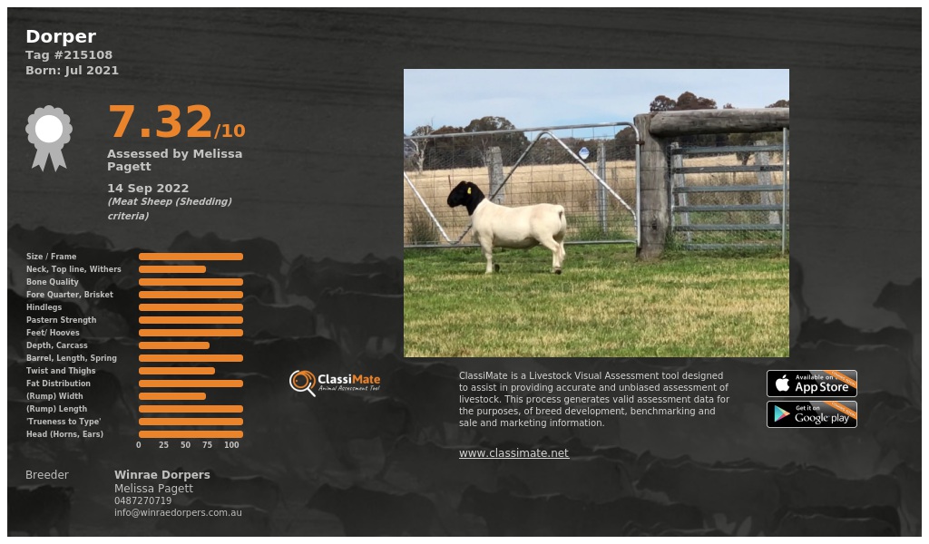 Lot 52-1