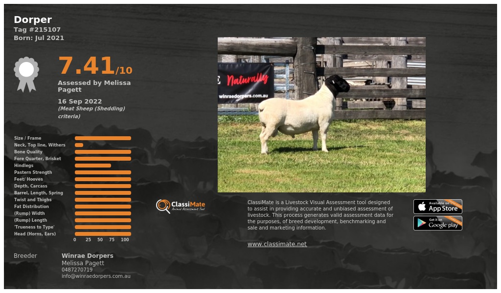 Lot 54-1