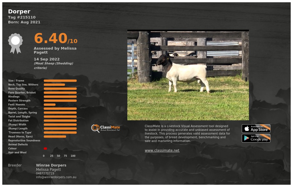 Lot 55-1