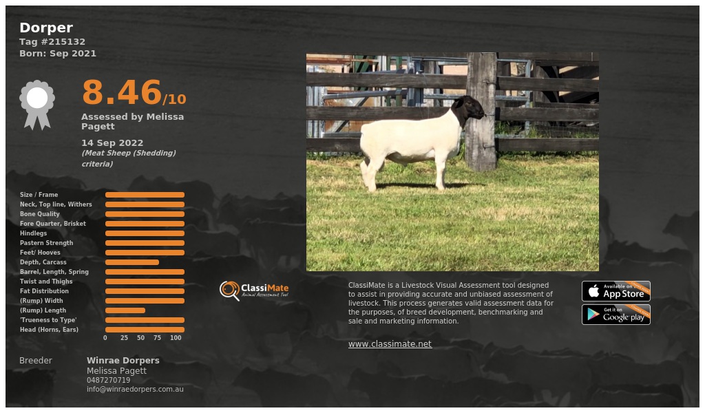 Lot 56-1