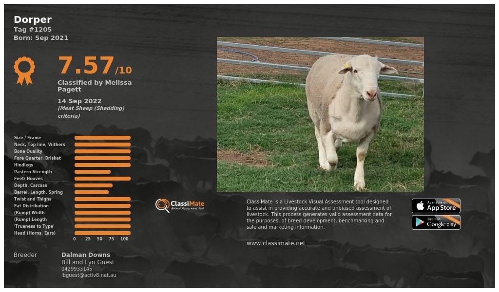 Lot 63