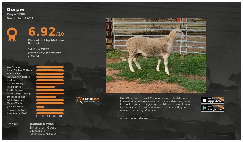 Lot 64