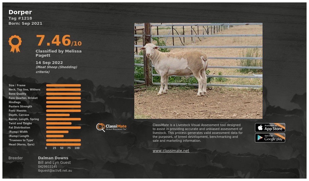 Lot 65