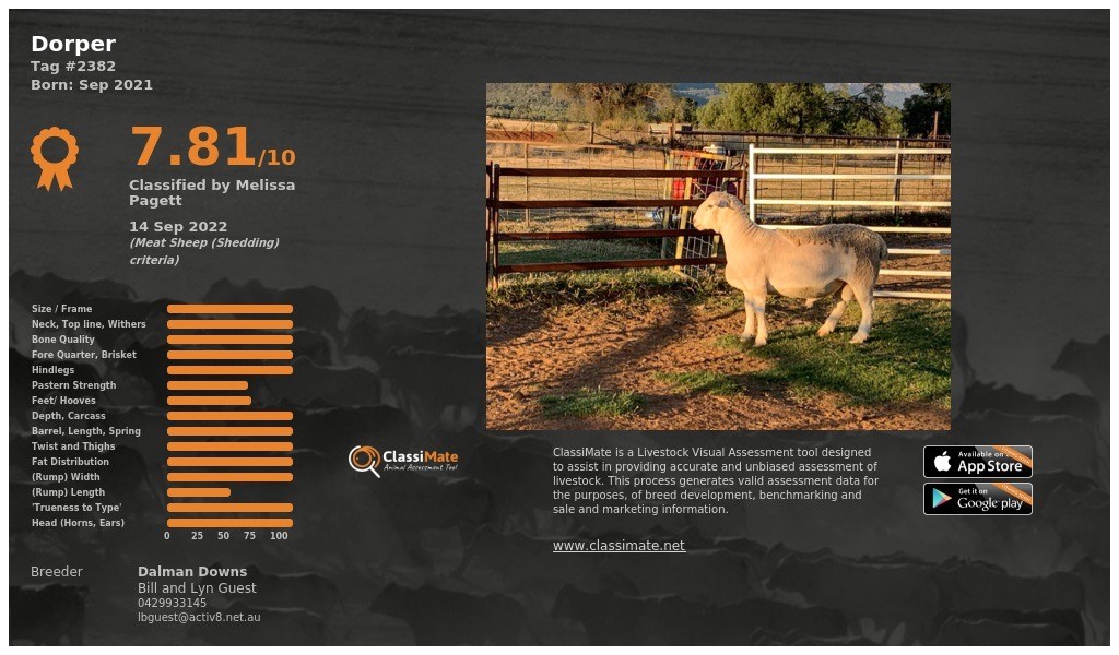 Lot 66
