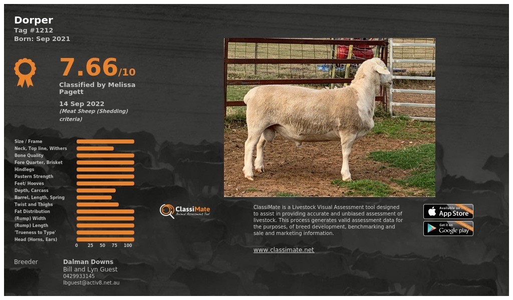 Lot 67