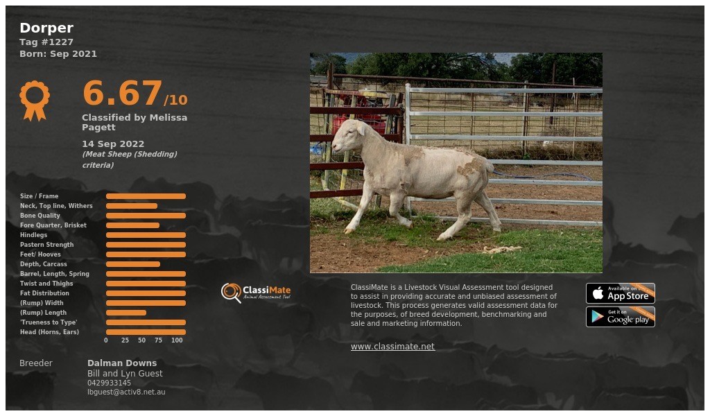 Lot 68