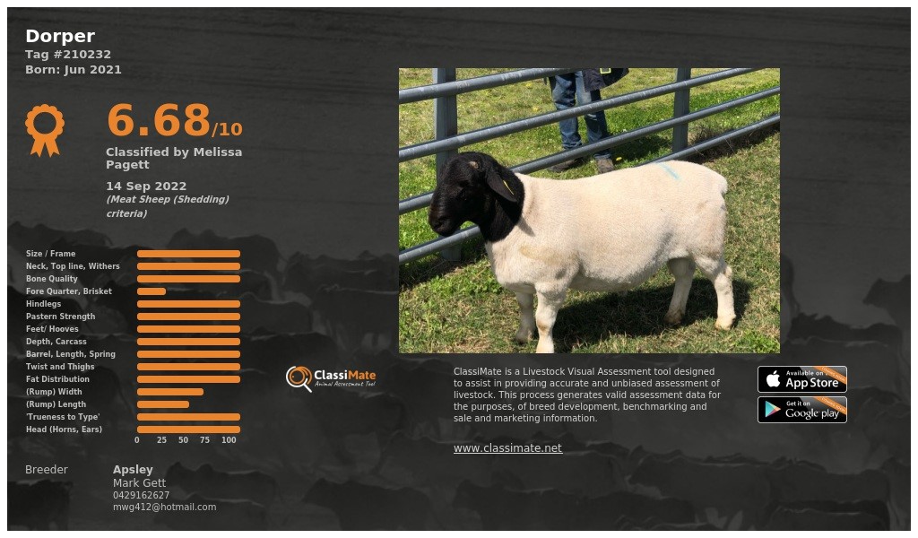 Lot 7