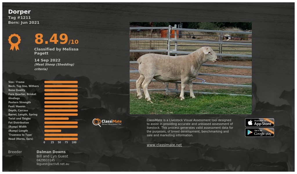 Lot 70