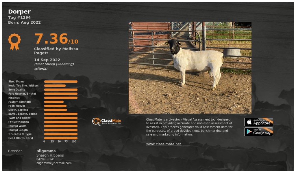Lot 72