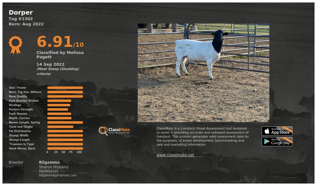 Lot 73