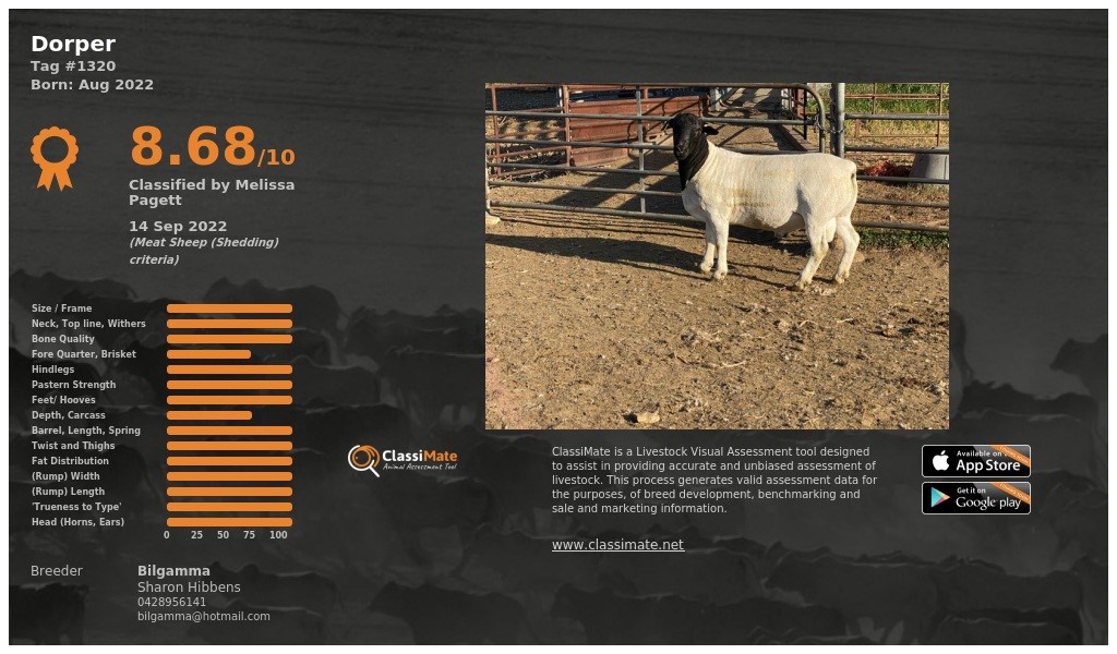 Lot 74