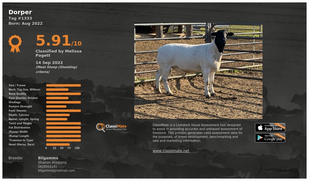 Lot 76