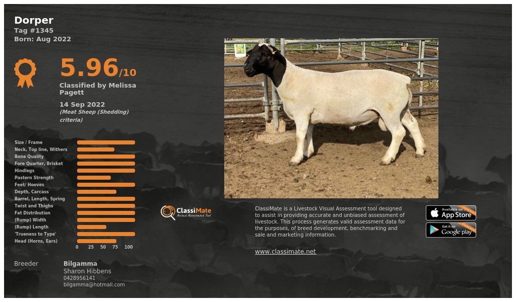 Lot 77