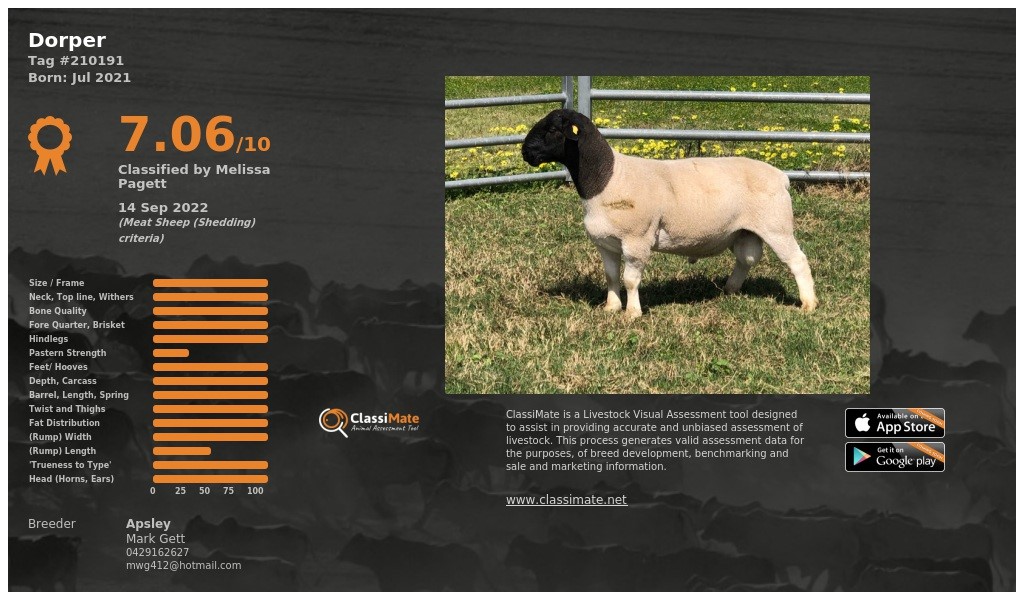 Lot 78