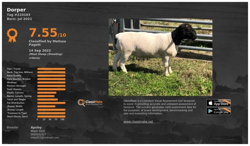 Lot 79