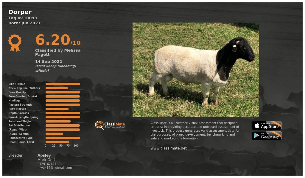 Lot 8