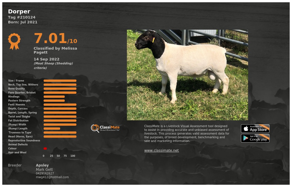 Lot 81