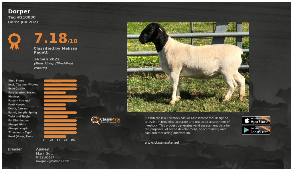 Lot 82