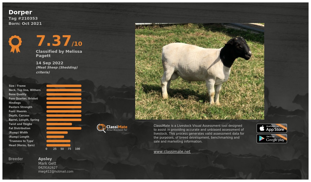 Lot 84